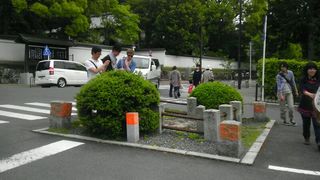 IMG_2012052646237.jpg